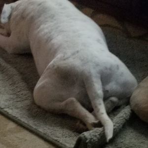 Meet your Posher, Ruth